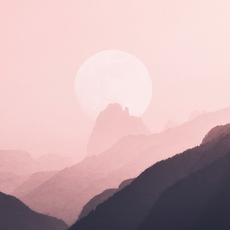 字画常用落款用词